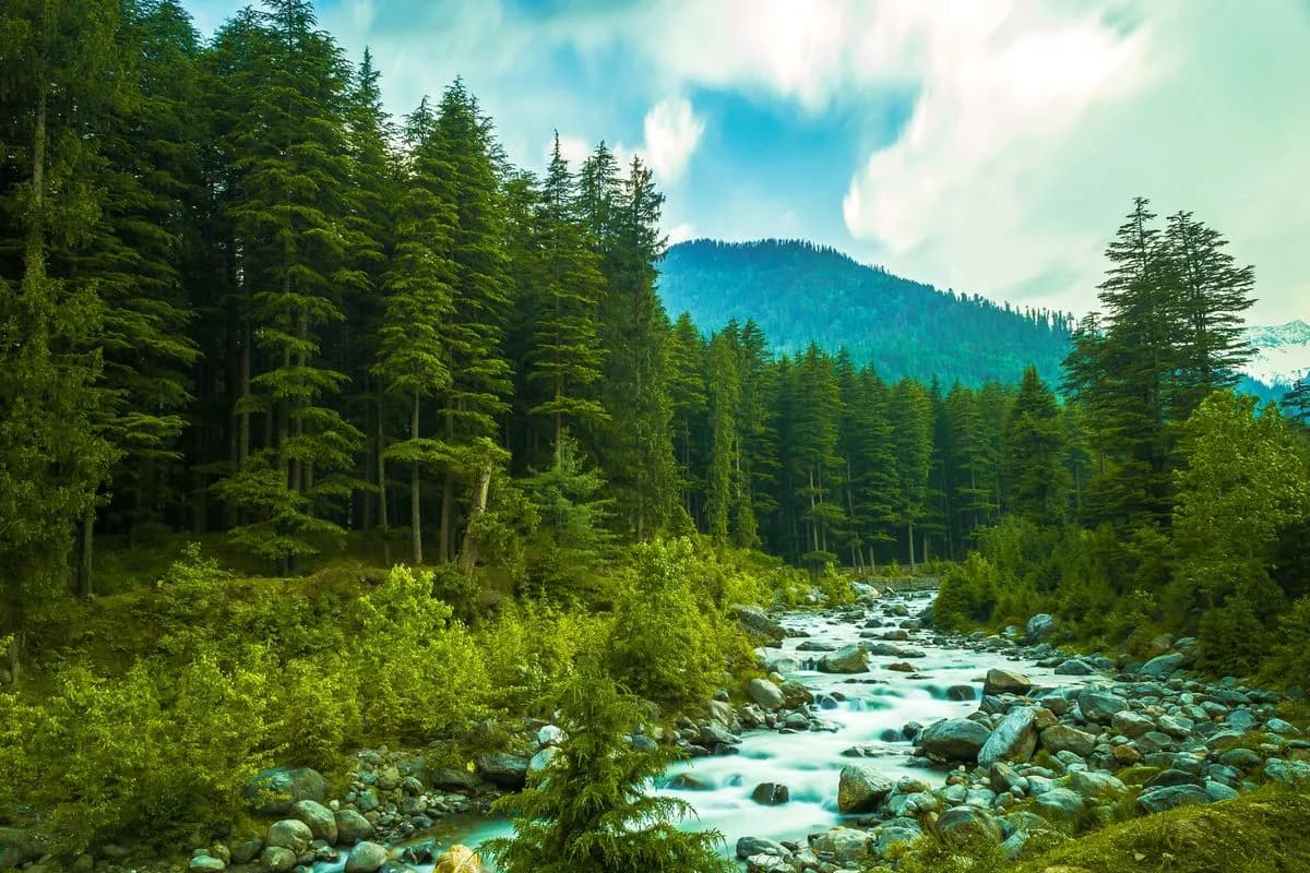Best Time to Visit Manali for the Best Weather and Experiences